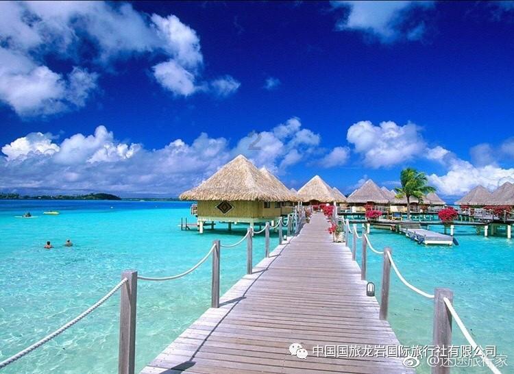探索猪肉的做法,发现无限知识的星球